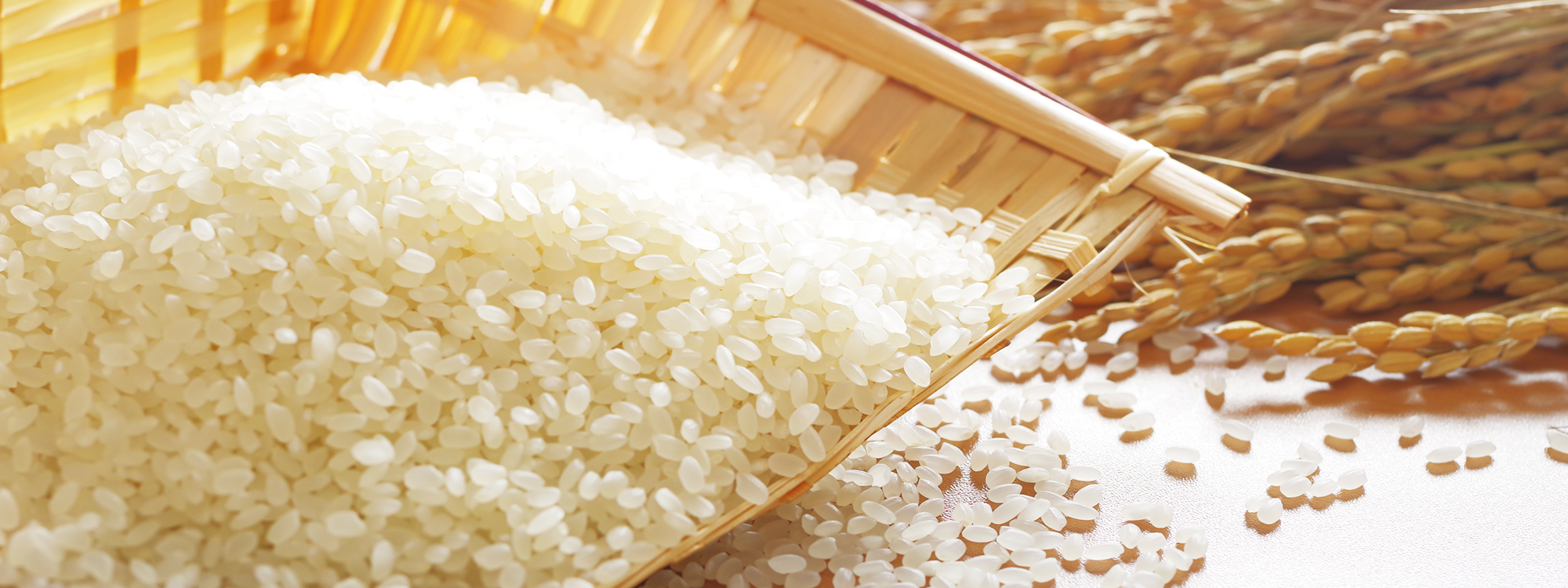 株式会社フロンティア上根子上