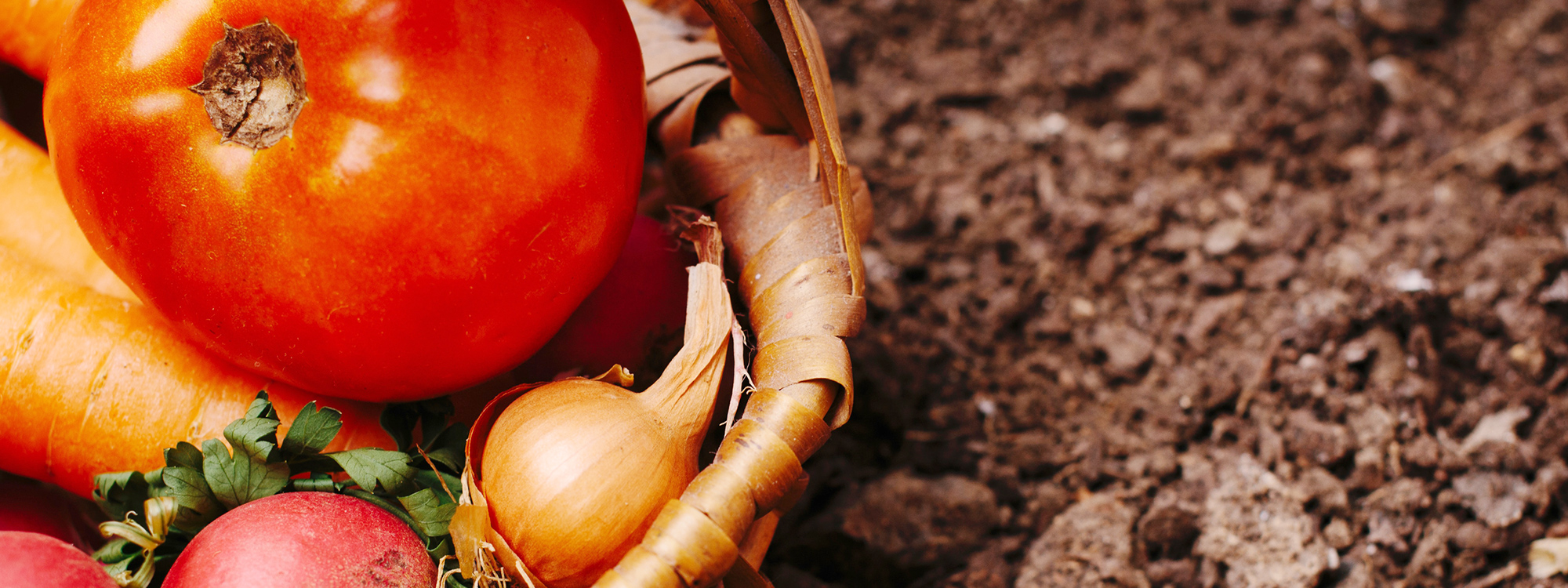 株式会社フロンティア上根子上