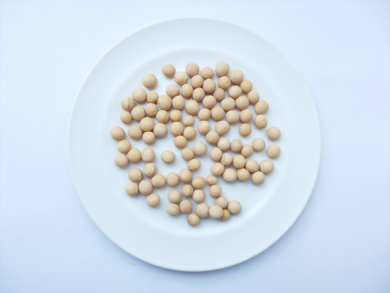 大豆
